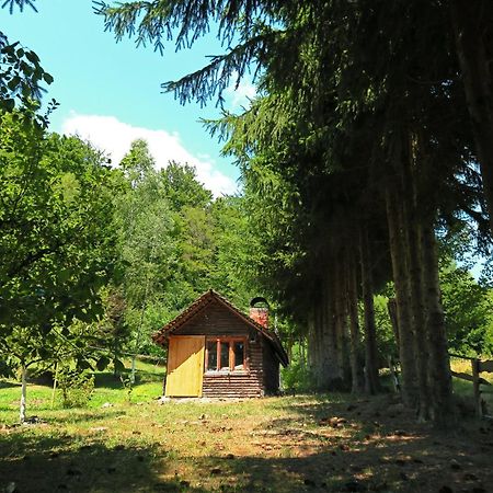 Planinska Kuca Palacinka Villa Despotovac Exterior foto