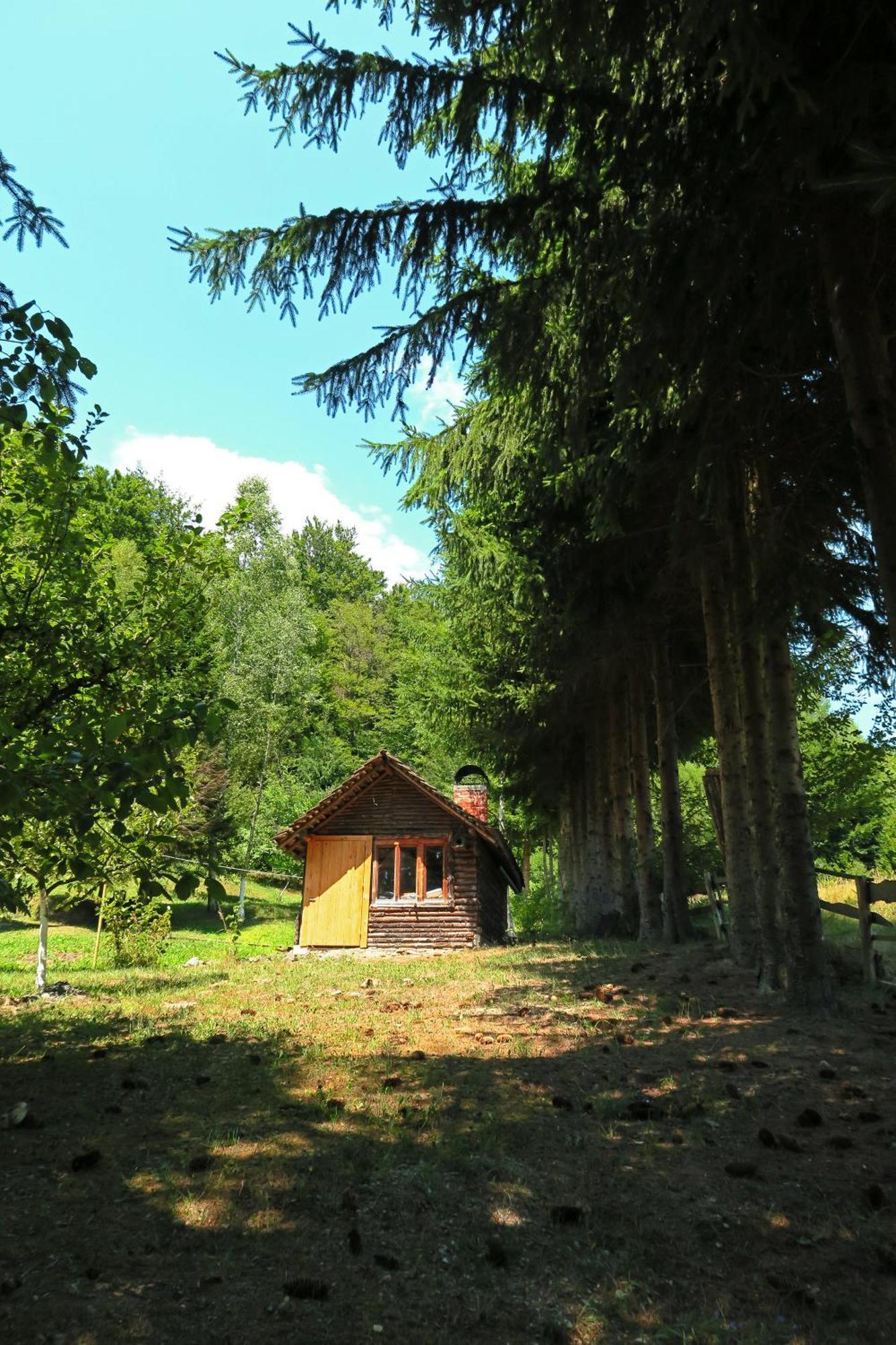 Planinska Kuca Palacinka Villa Despotovac Exterior foto