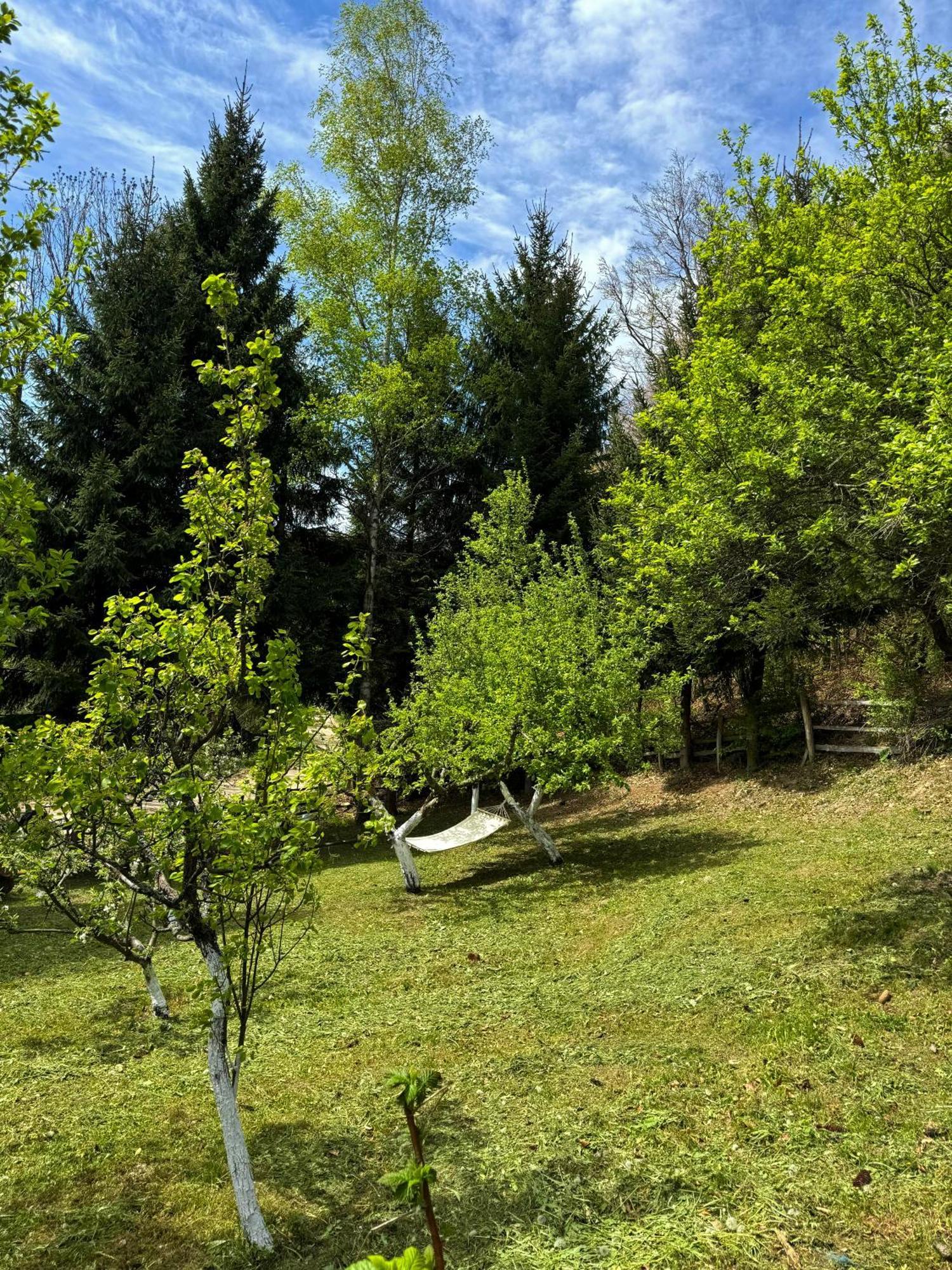 Planinska Kuca Palacinka Villa Despotovac Exterior foto